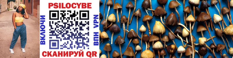 Галлюциногенные грибы Magic Shrooms  Сысерть 